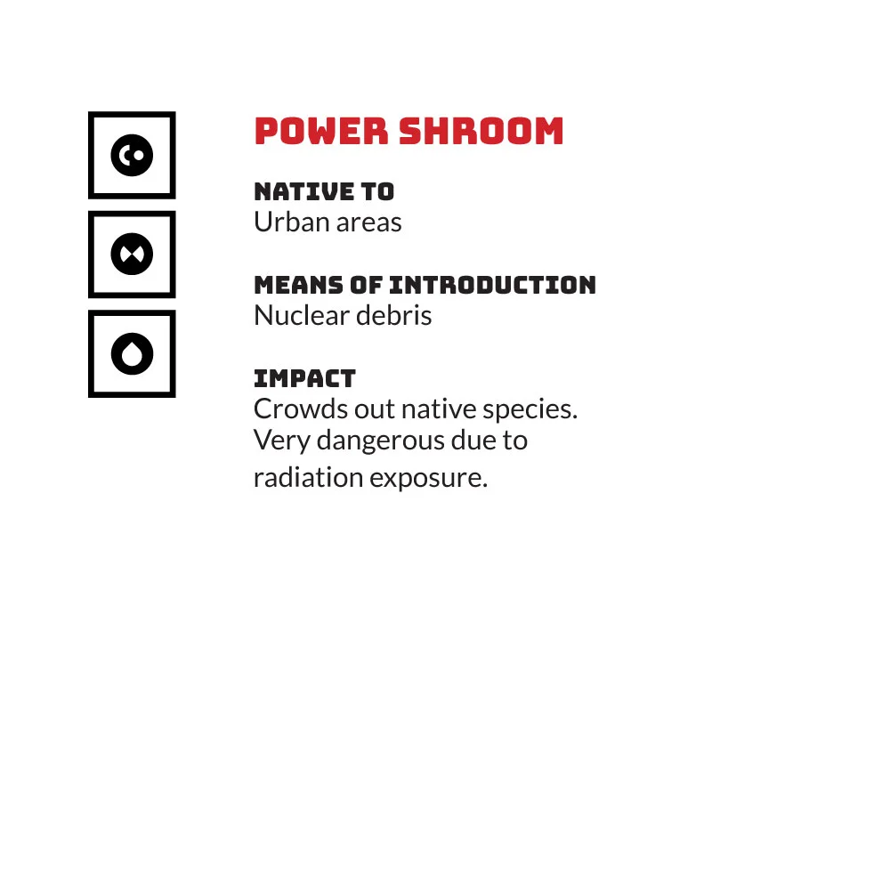 Shroom.jpg
