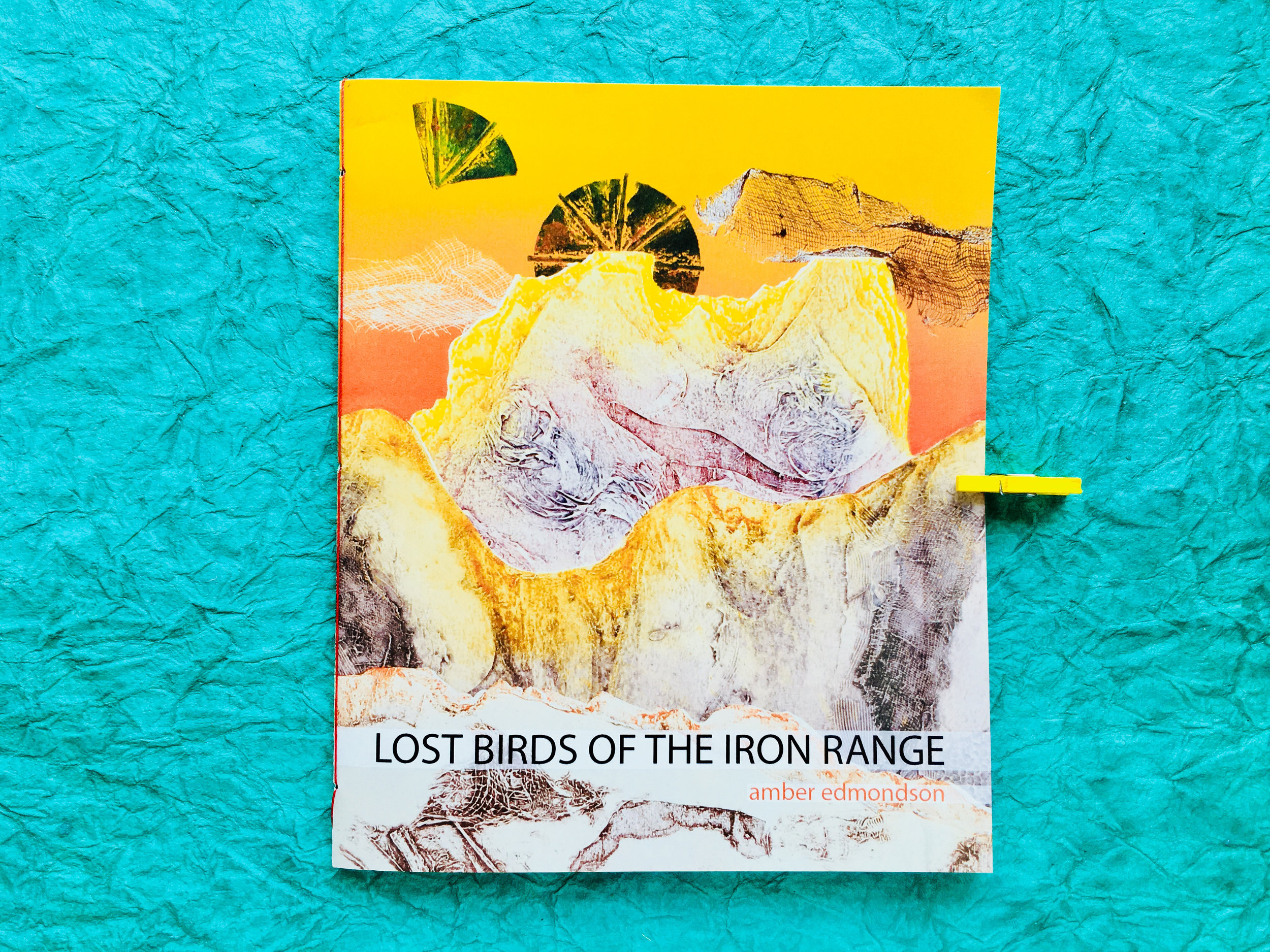 lostbirds.jpg