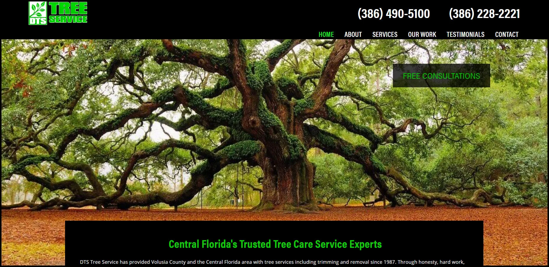 DTS Tree Service