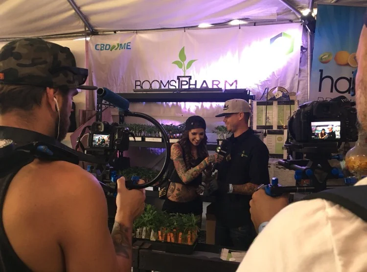 nick interviewed at chalice.jpg