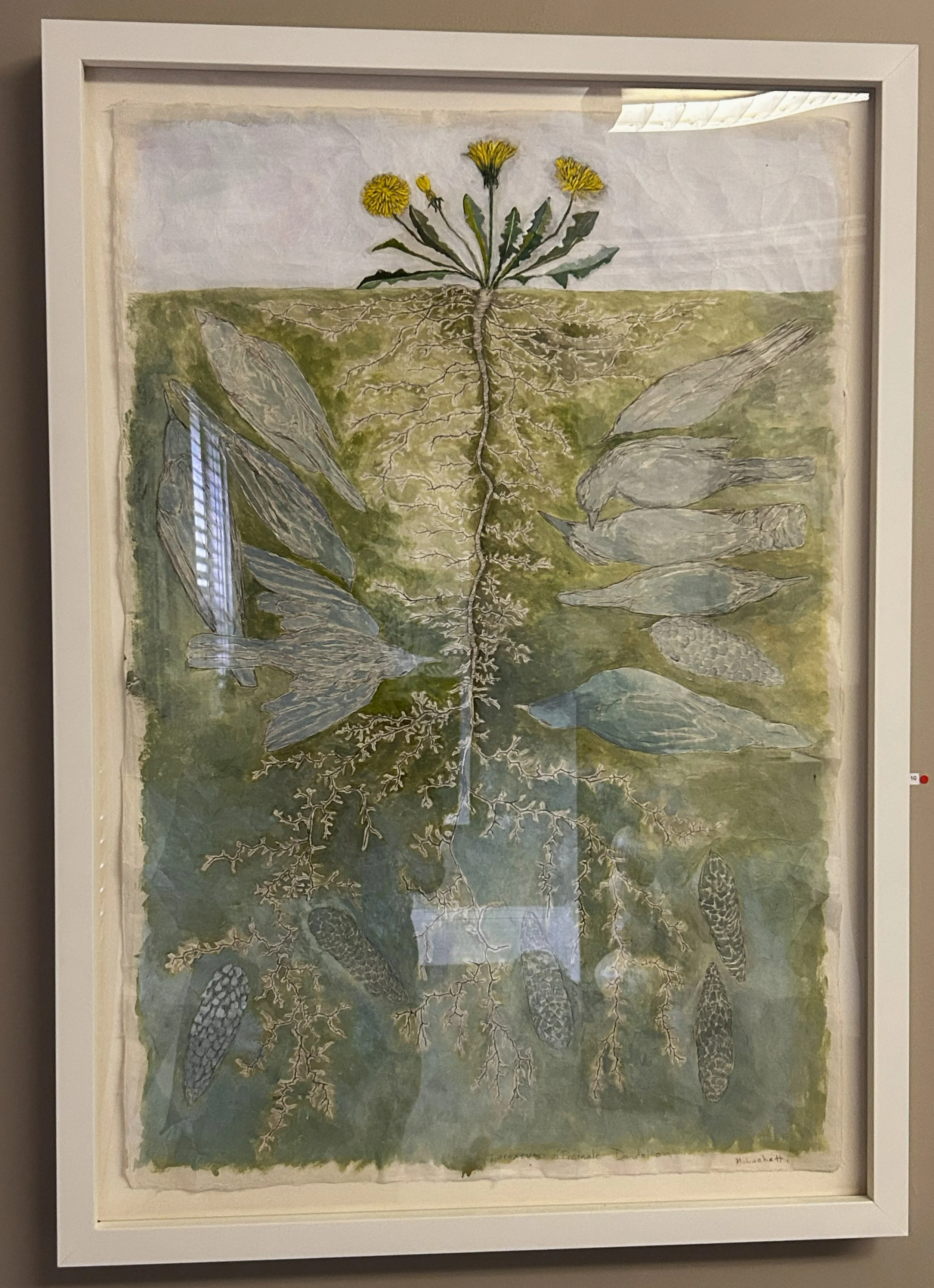 10. Invasive Weed: Dandelion