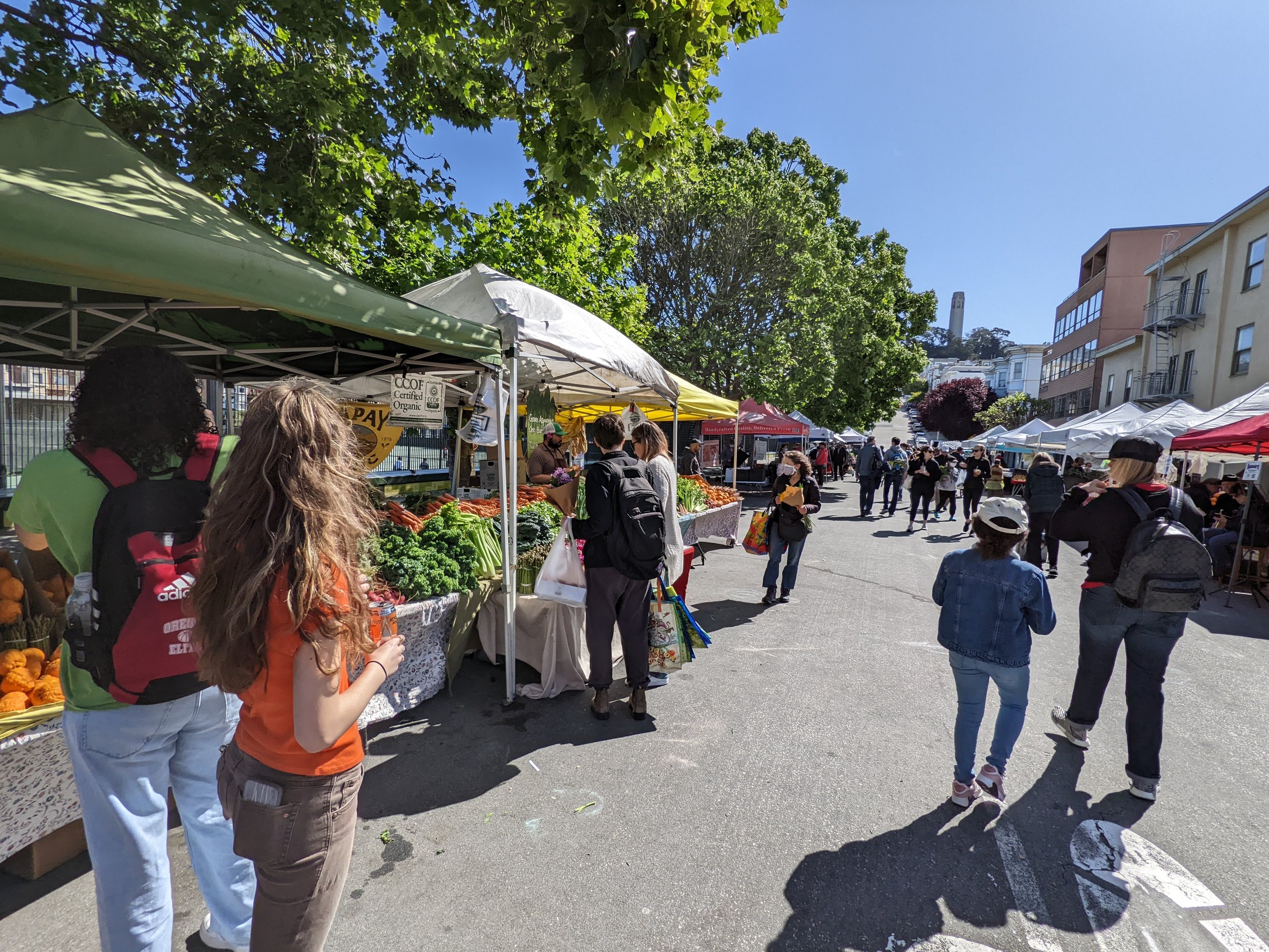 North Beach Farmers Market Opens for Season