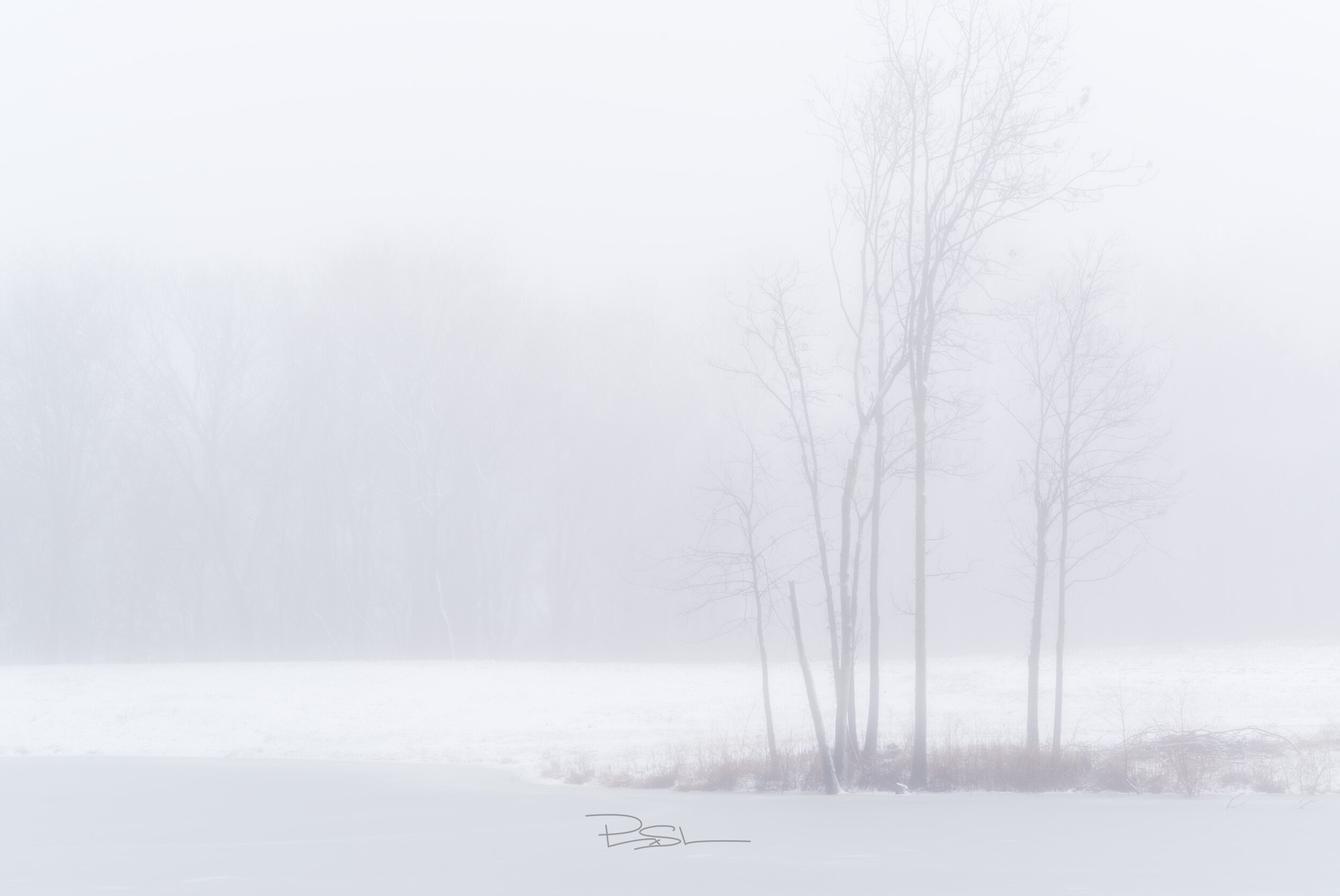 January Fog 24x16