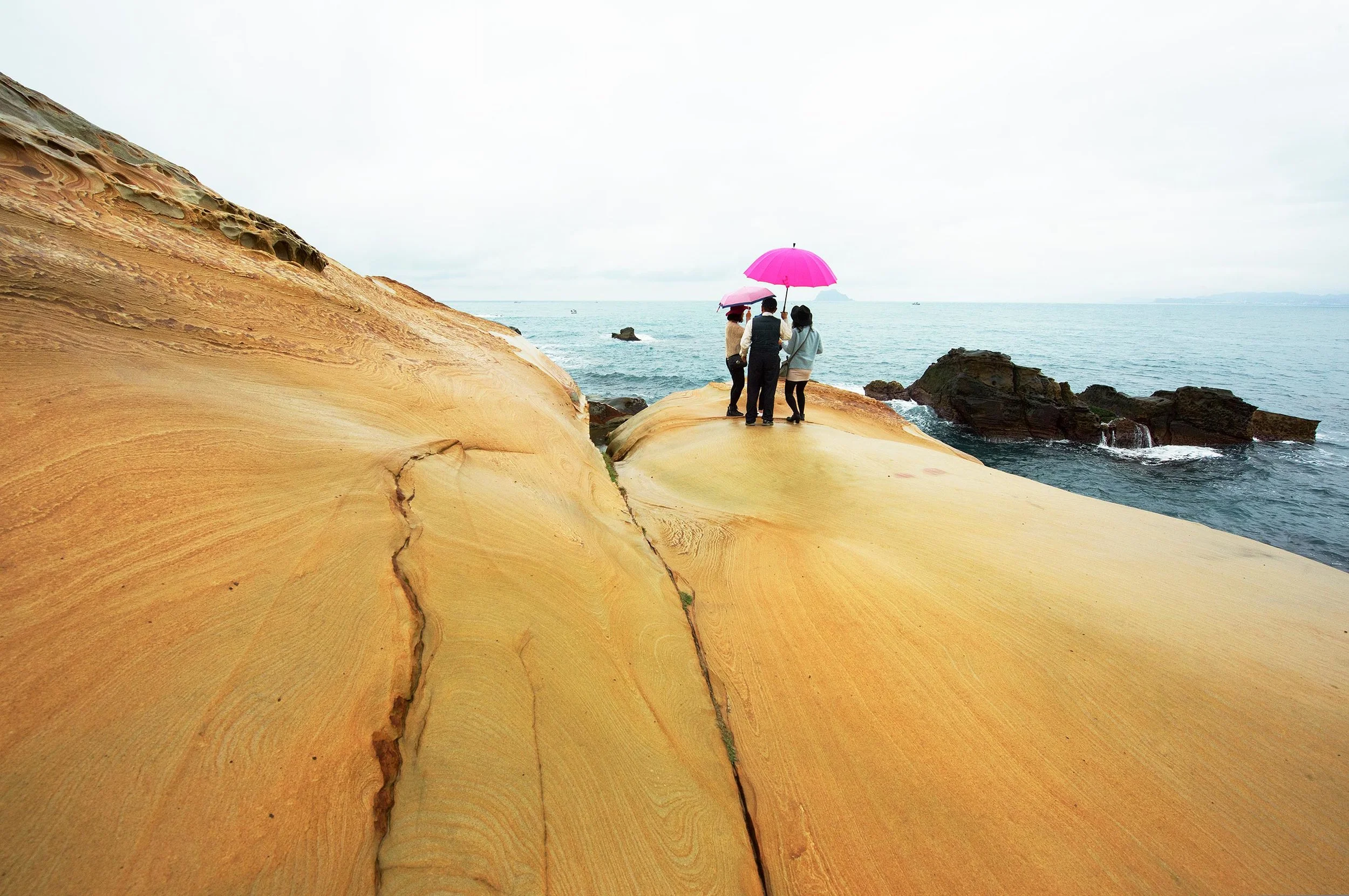 _DSC7219-(1).jpg