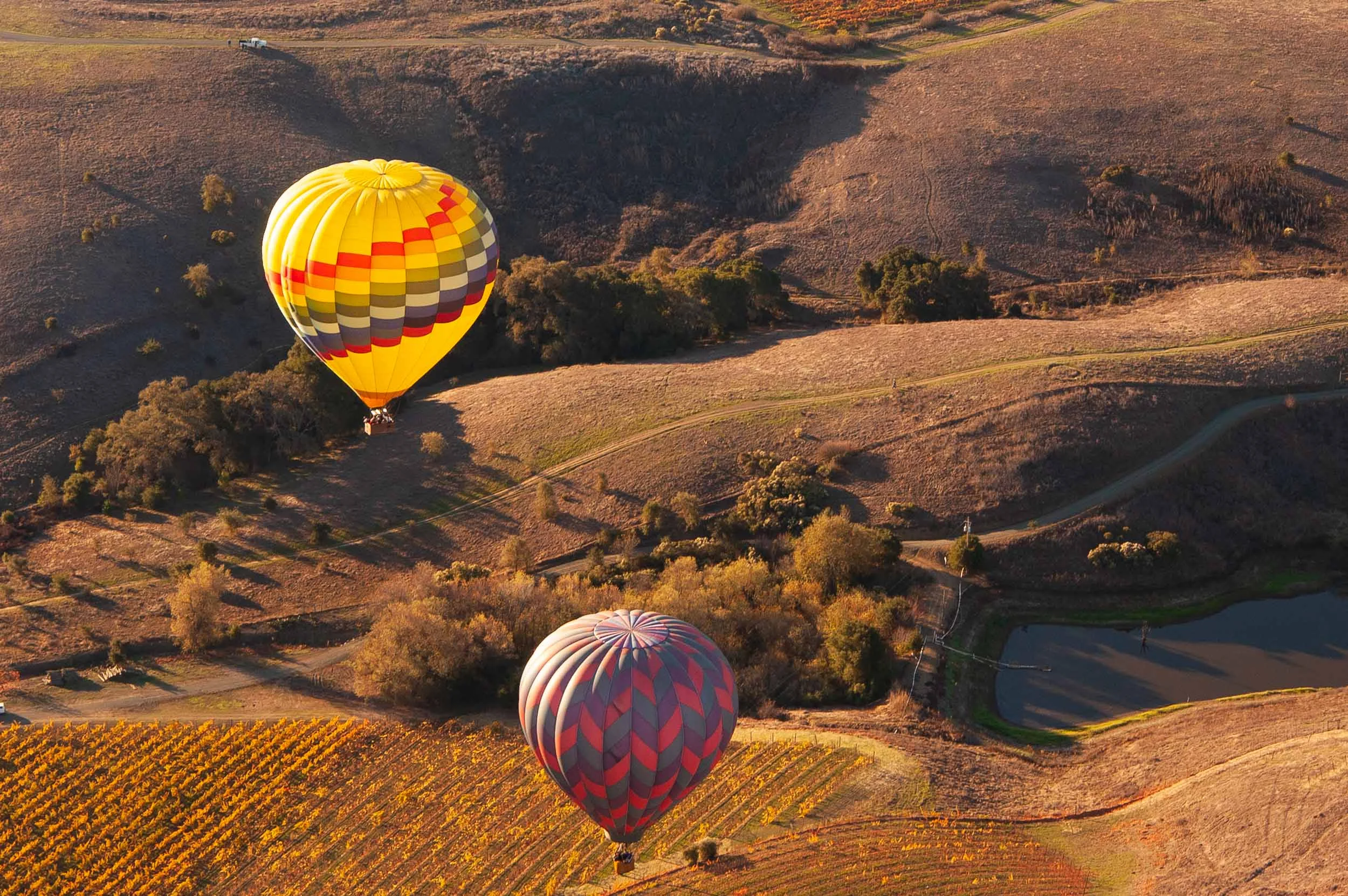 DSC_4514.jpg