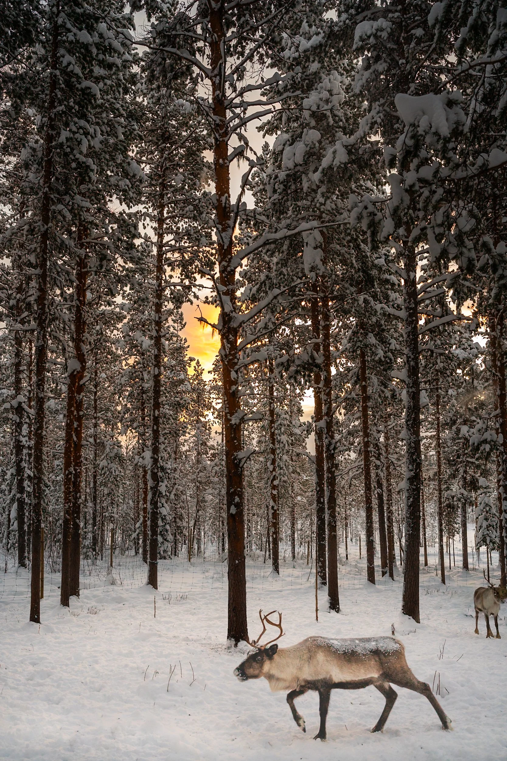 _DSC6503.jpg