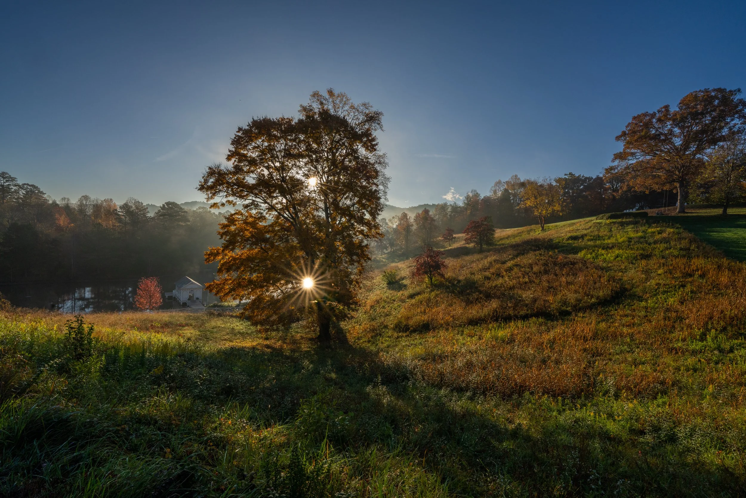 _DSC3836-Edit.jpg