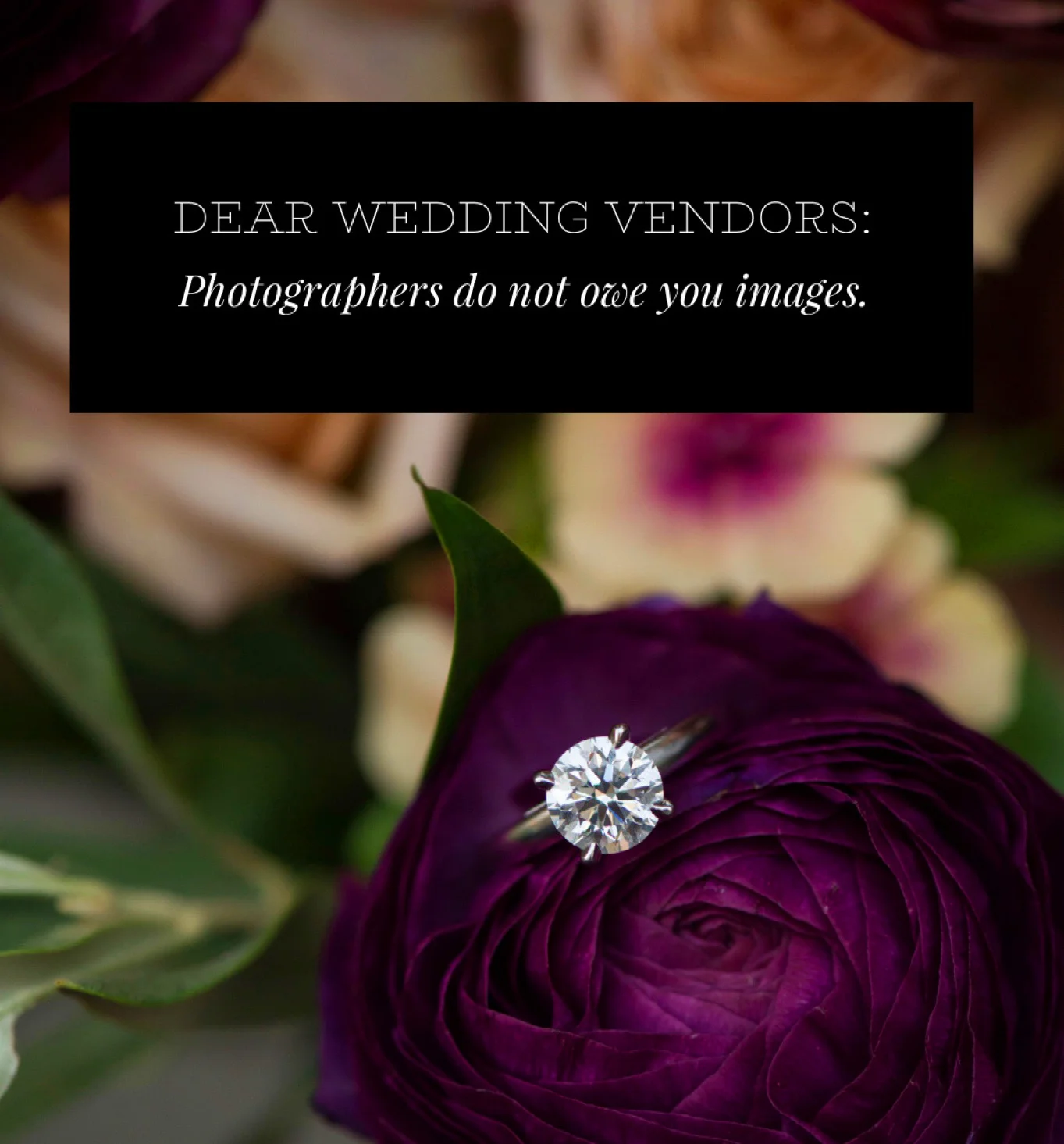 Just-Stop-Wedding-Vendor-Entitlement3.jpg