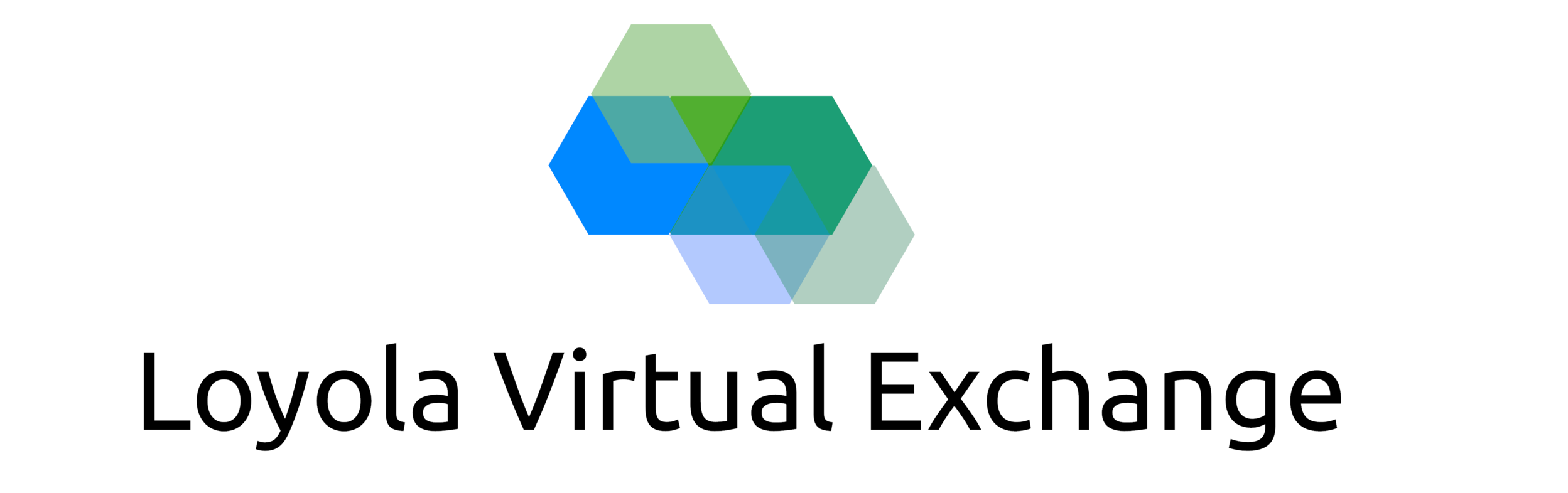 Loyola Virtual Exchange