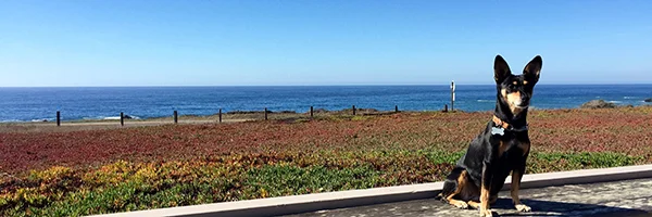 What Makes a House a Home?