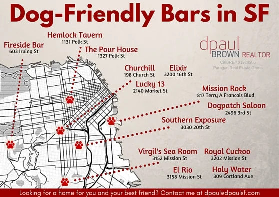 Dog-Friendly Bars in SF