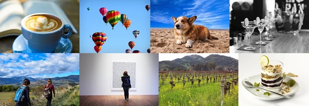 Eat, Drink, Play 
in SF and Around the Bay