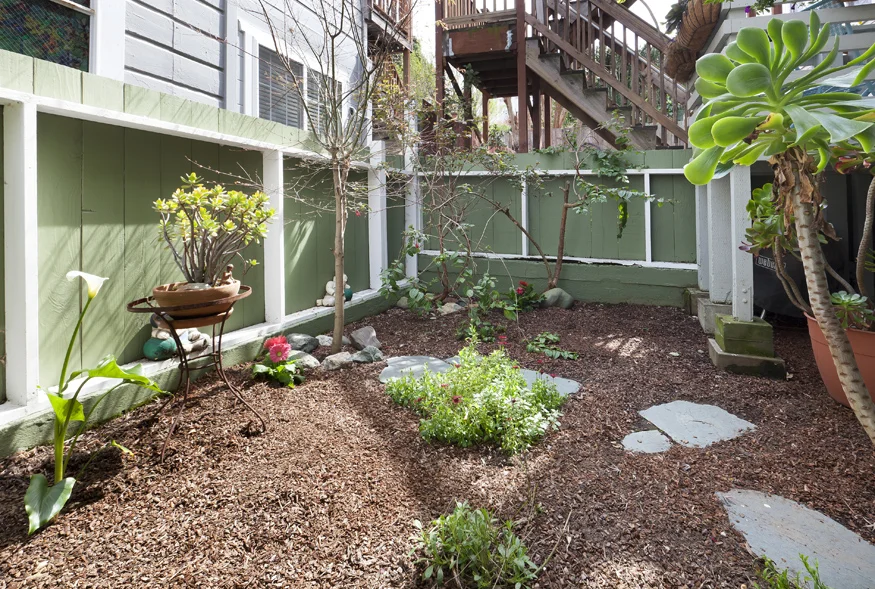 1209Sanchez-Yard.jpg