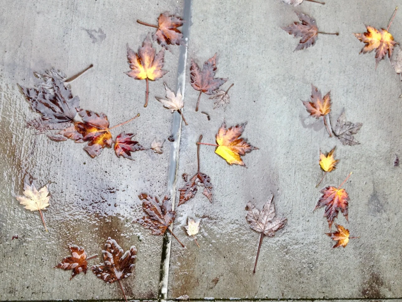 Fall Home Maintenance Checklist