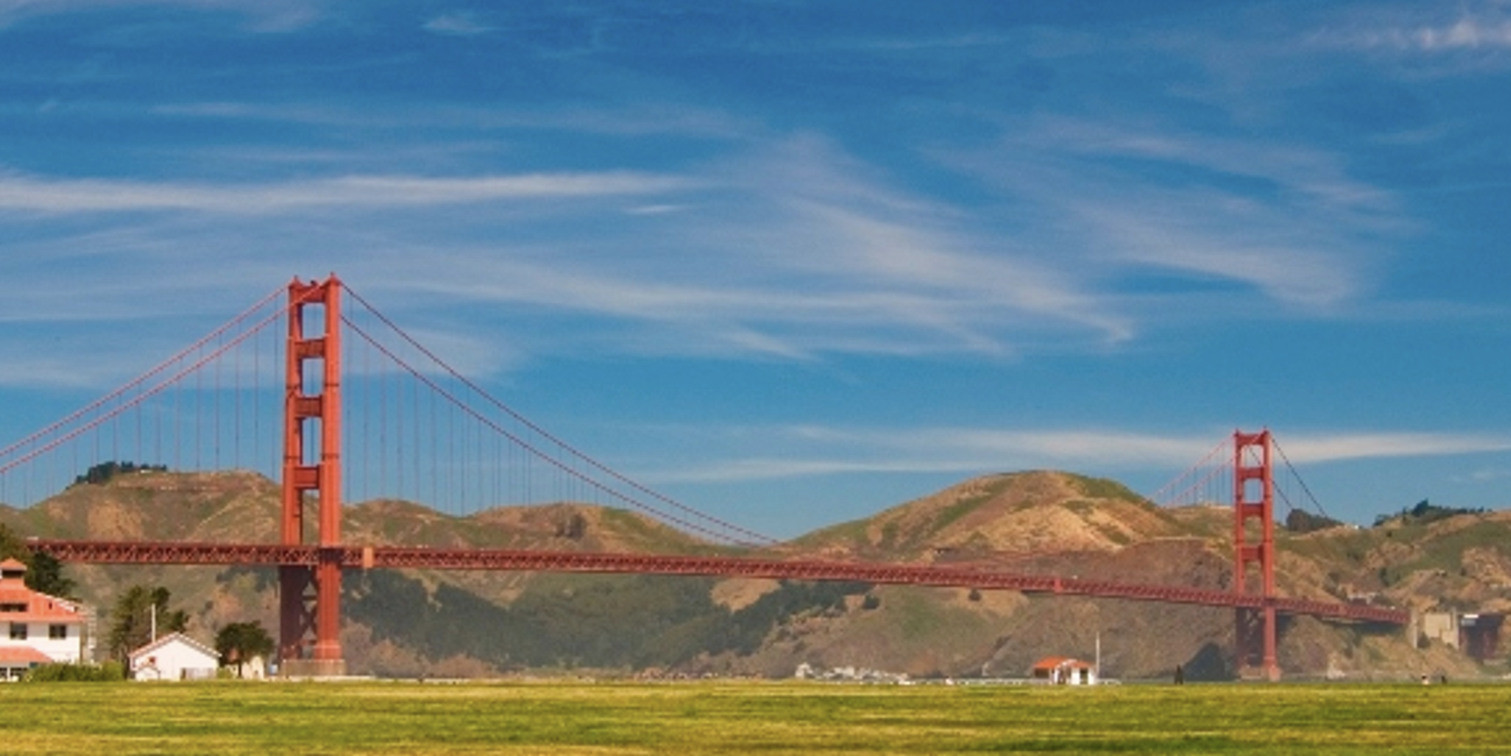 January 2019 Market Report