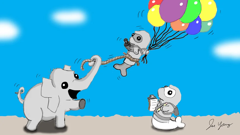 Random sketch: A small elephant interrupts the Ninja Seals' flight experiment