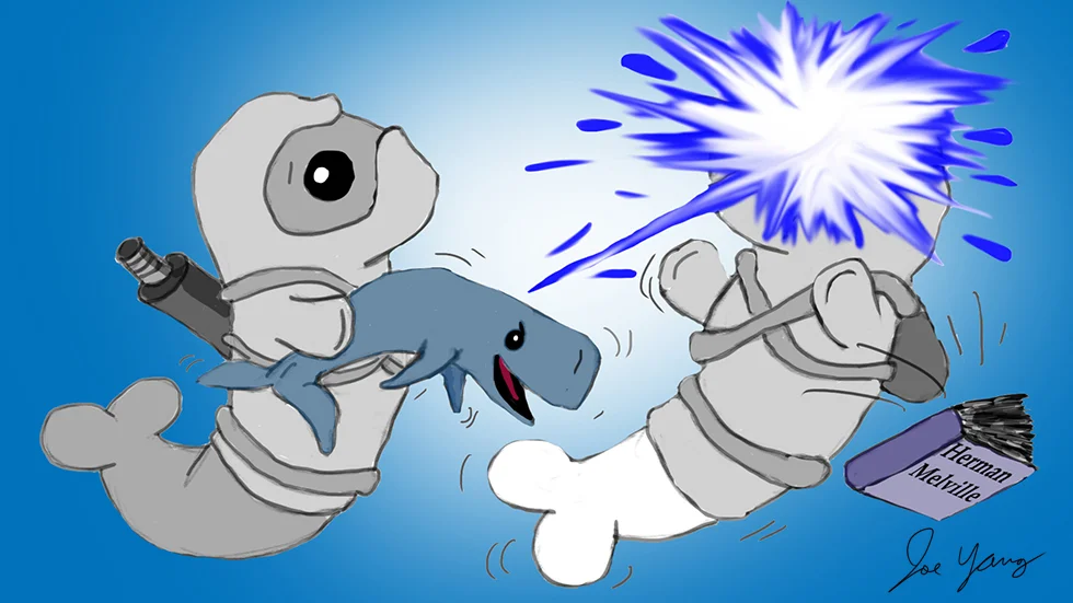 The Ninja Seals encounter a small but vengeful whale