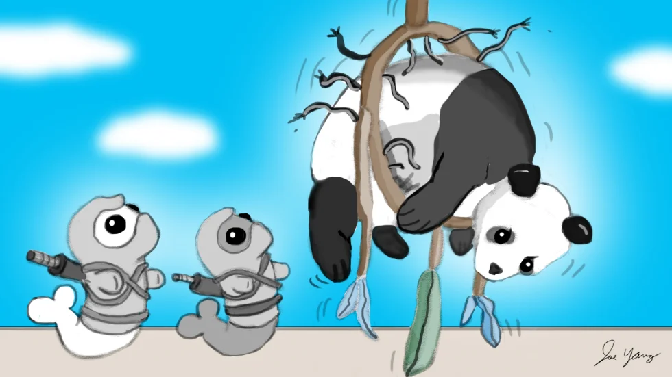 The Ninja Seals are confused as to how/why panda got stuck in a giant dreamcatcher
