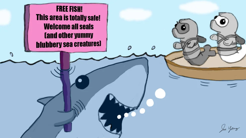 The Ninja Seals encounter another stupid fishing scam
