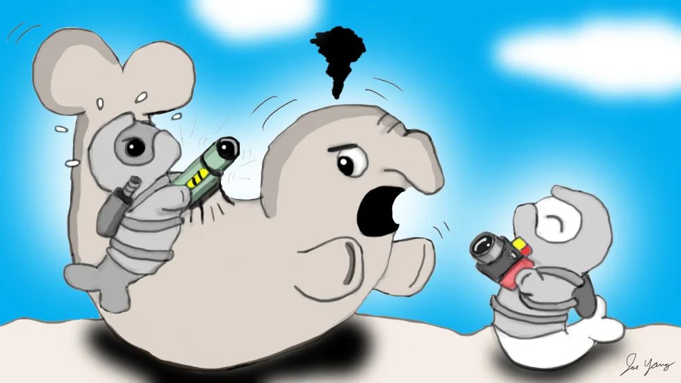 The Ninja Seals document their struggle to remove a friend's unwanted critter cam