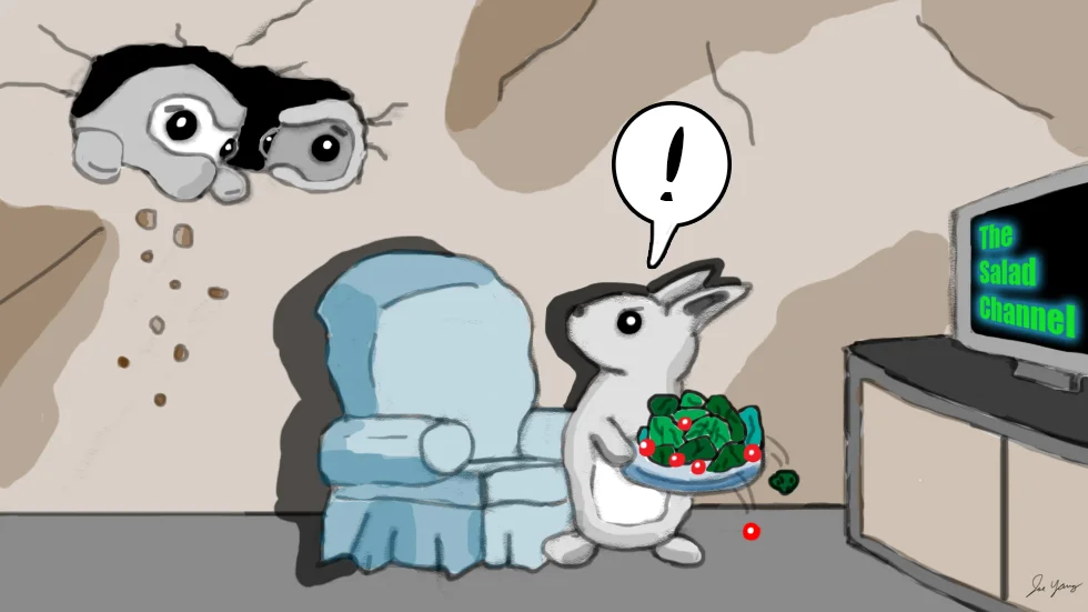 The Ninja Seals want to see just how far down the rabbit hole goes