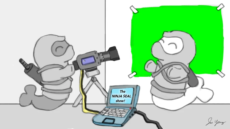 The Ninja Seals start their low-budget internet show