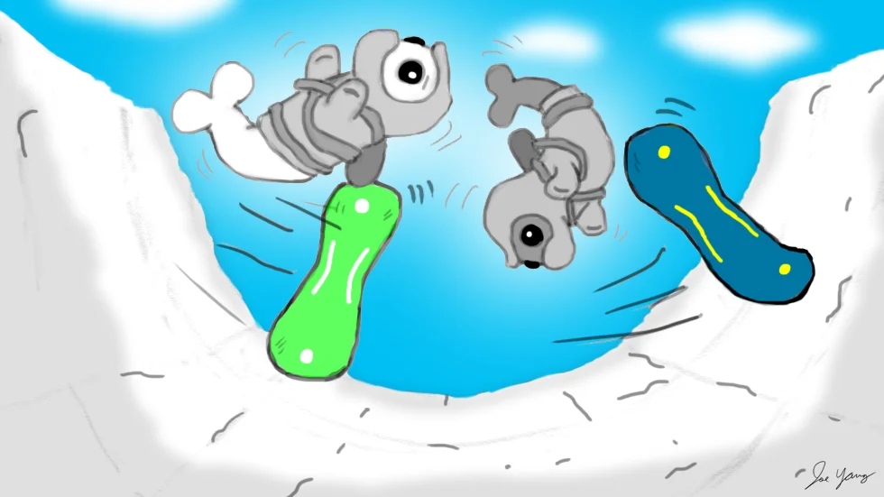 The Ninja Seals clearly need to improve their terrible half pipe skills
