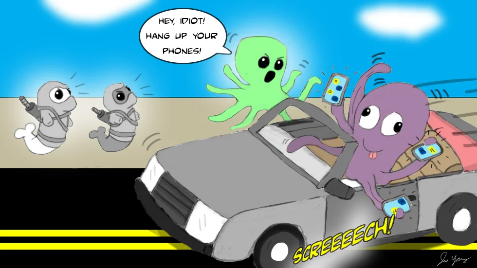 Ninja Seals learn that octopuses also do stupid stuff
