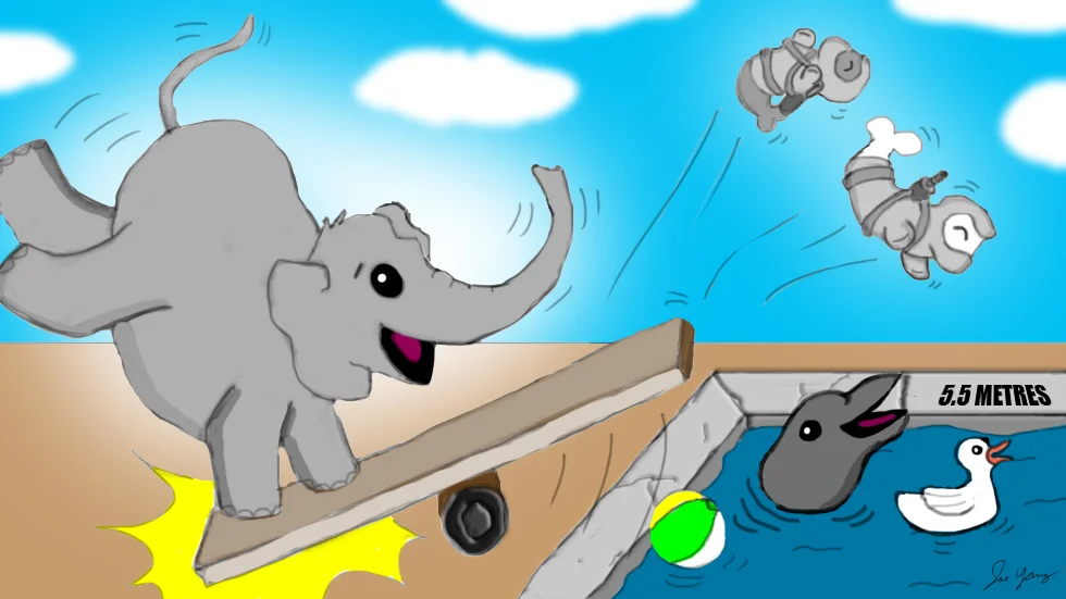 Whenever the Ninja Seals throw a pool party, Elephant is always invited!