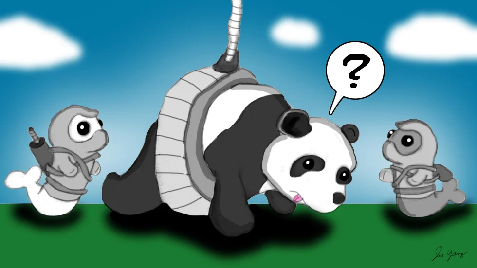 This is not the first time Panda has gotten stuck in the Ninja Seals' tire swing