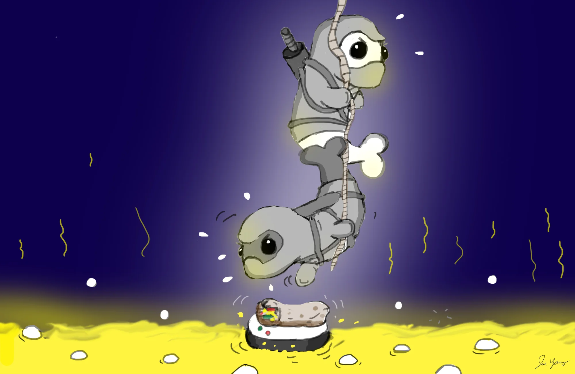 The Ninja Seals try to save the tasty burrito from the boiling lake!