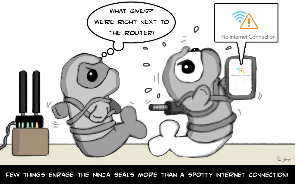 Few things enrage the Ninja Seals more than a spotty internet connection!