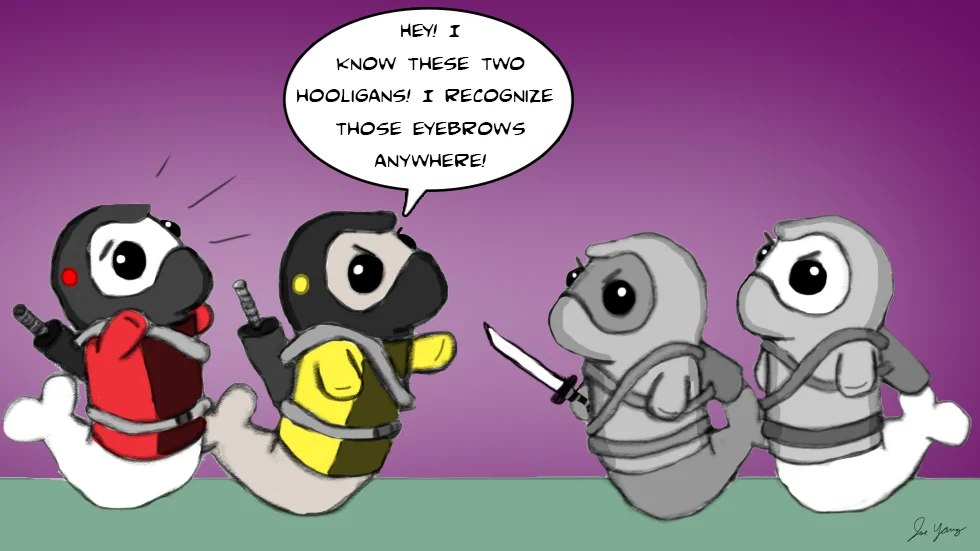 How Ninja Seals tell each other apart...
