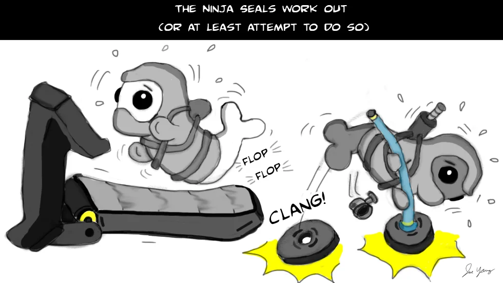 The Ninja Seals work out (or at least attempt to do so)