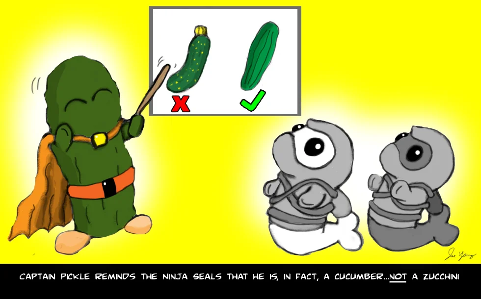 Captain Pickle has an important lesson for the Ninja Seals...
