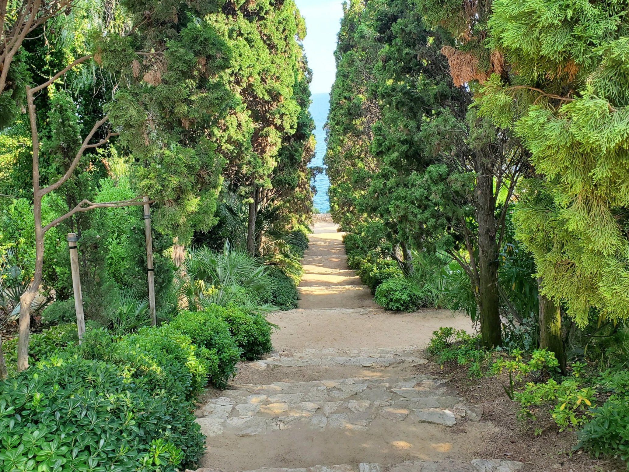 20190829_172349.jpg