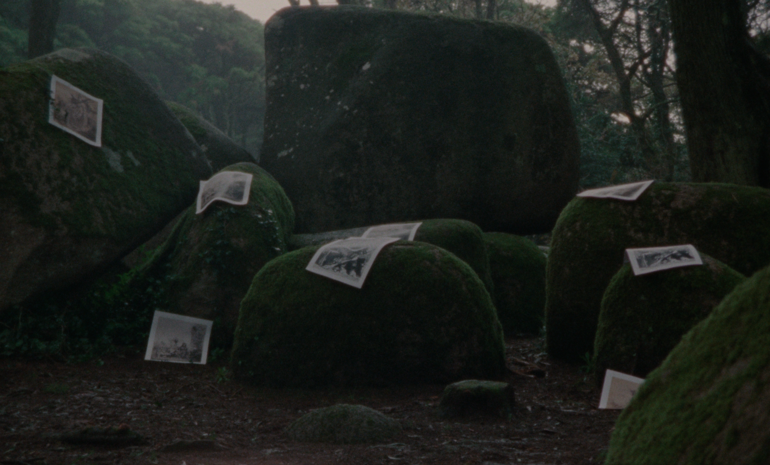 Edit_Jan 2023.00_50_09_23.Still023 (1).png