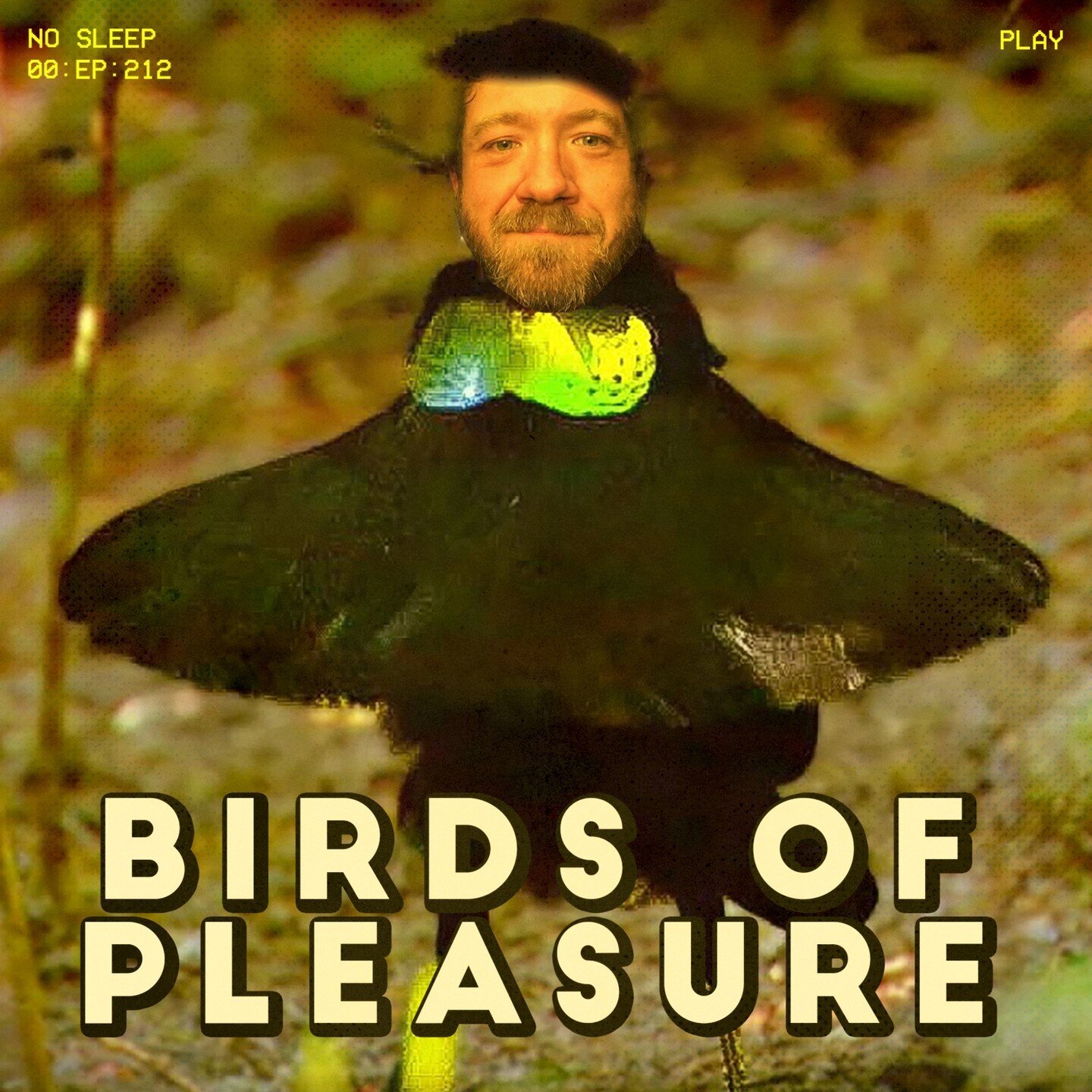You've never seen feathers like this baby!

🔊🔊🔊 Listen now at https://linktr.ee/nosleepdsm