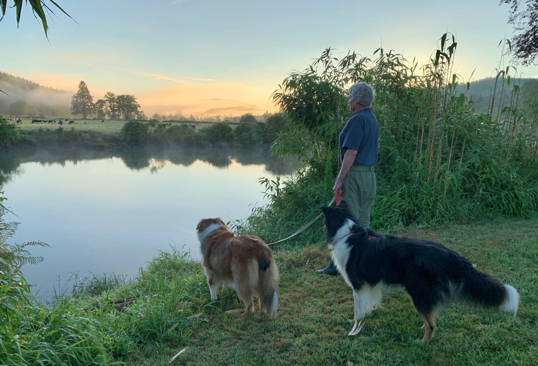 A&C & MJM watching the cows at Grays River e.jpg