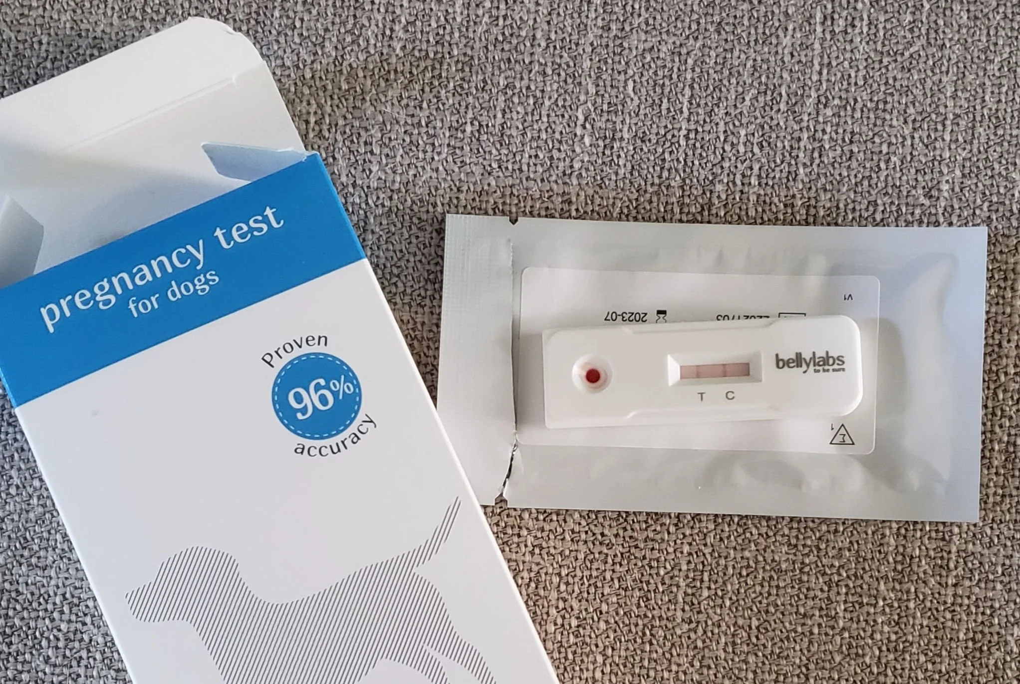 Home Pregnancy Test for dogs...how does that work? — Hycottage Farm