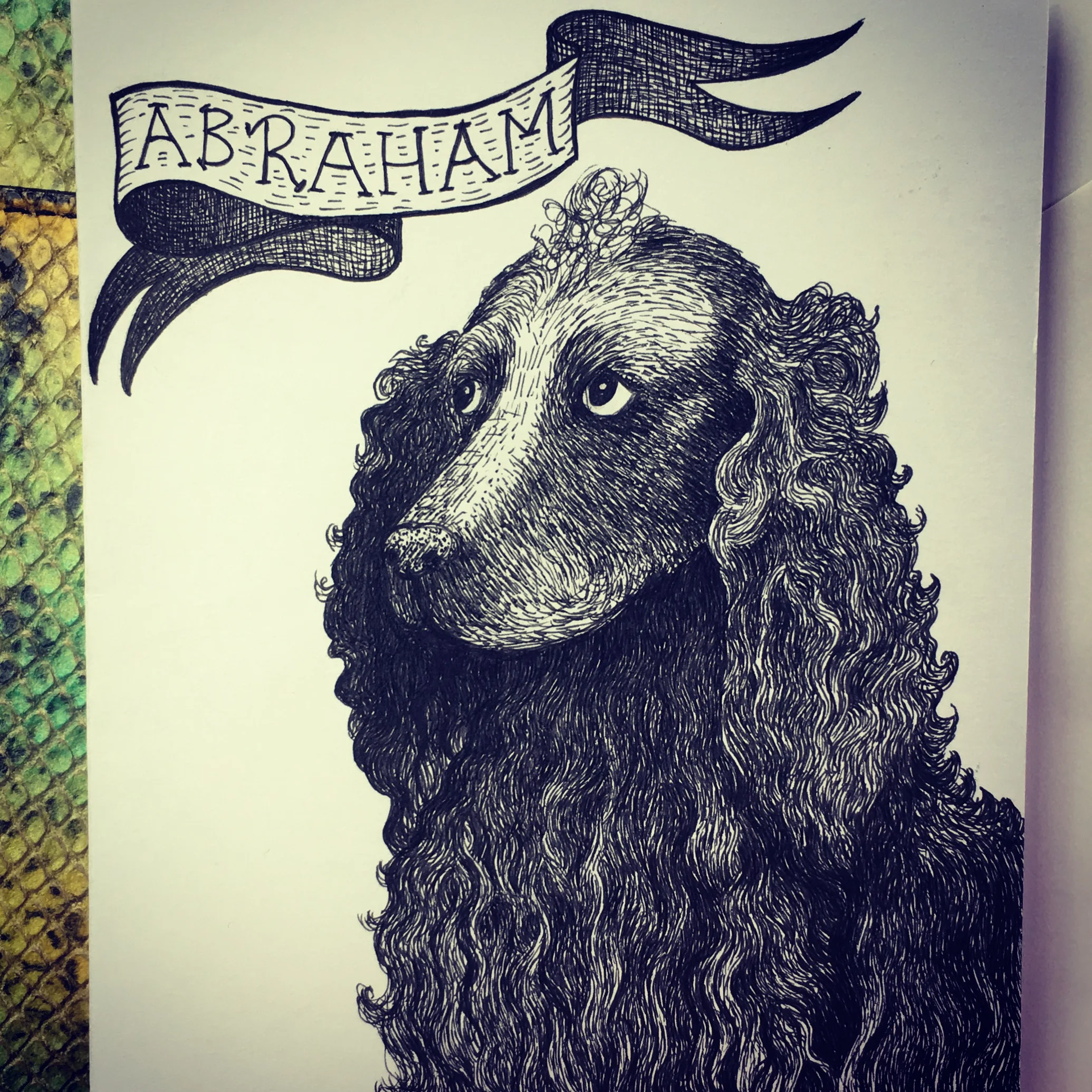 abraham.JPG
