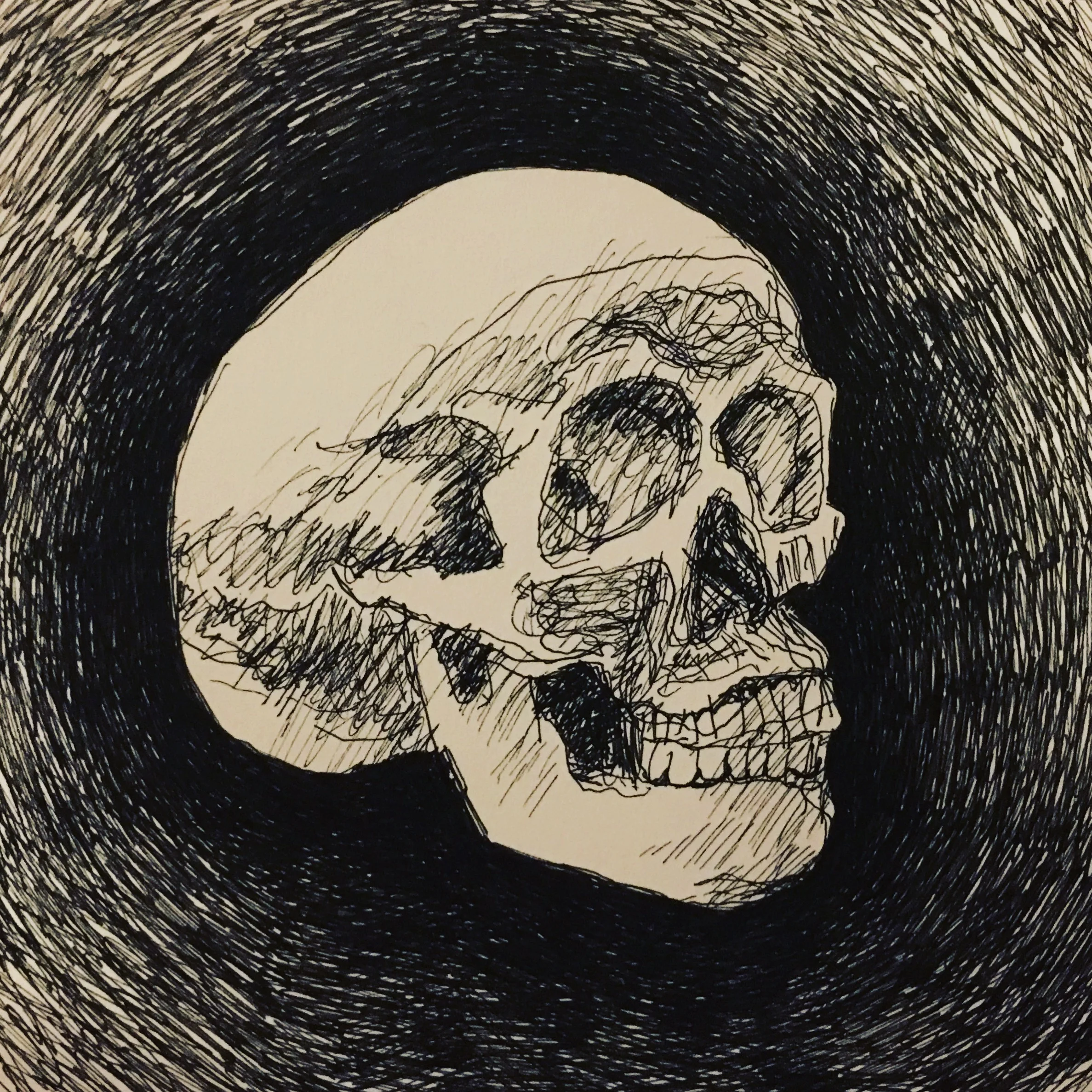 Skull.JPG