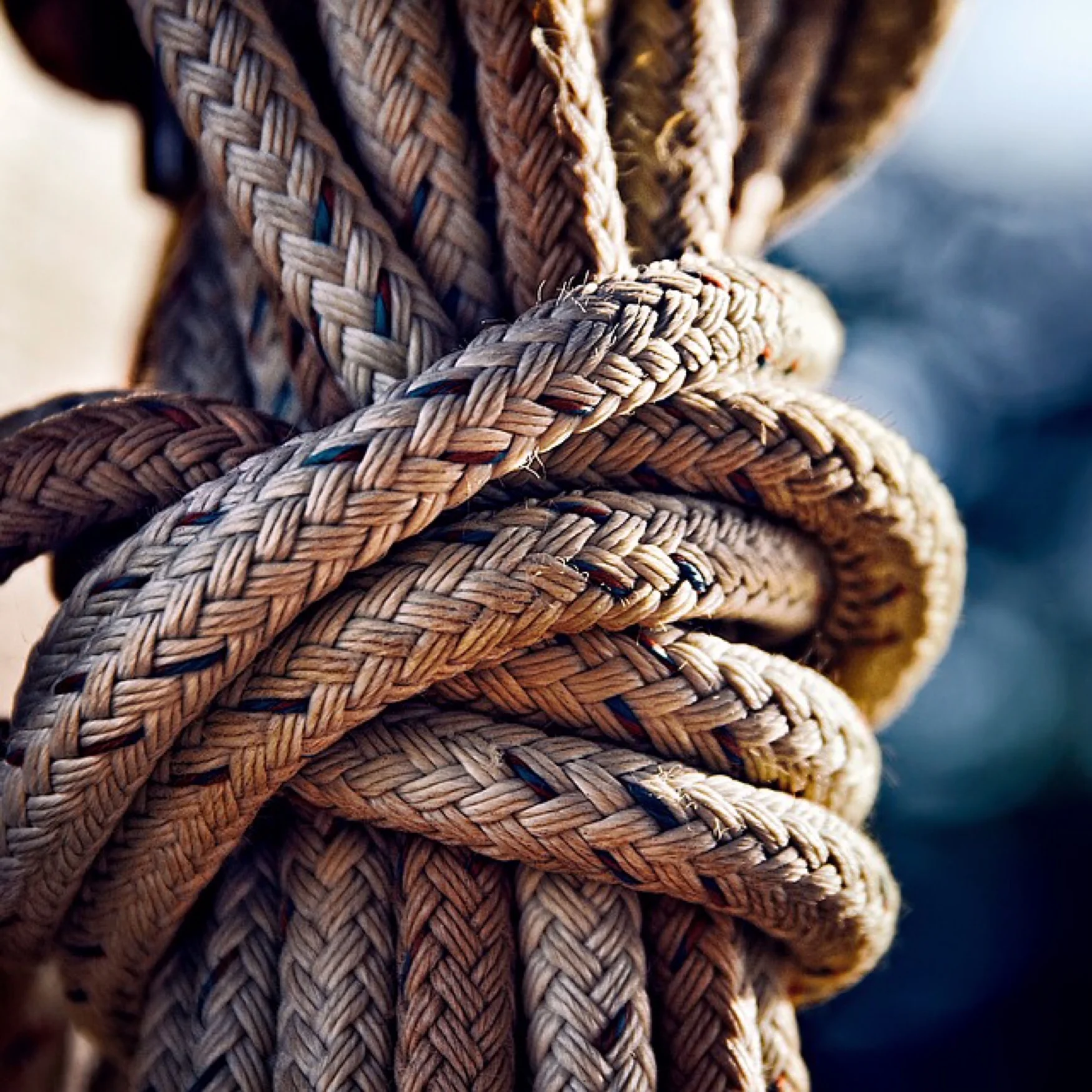 knot.jpeg