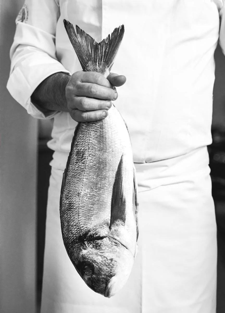 fish.jpg
