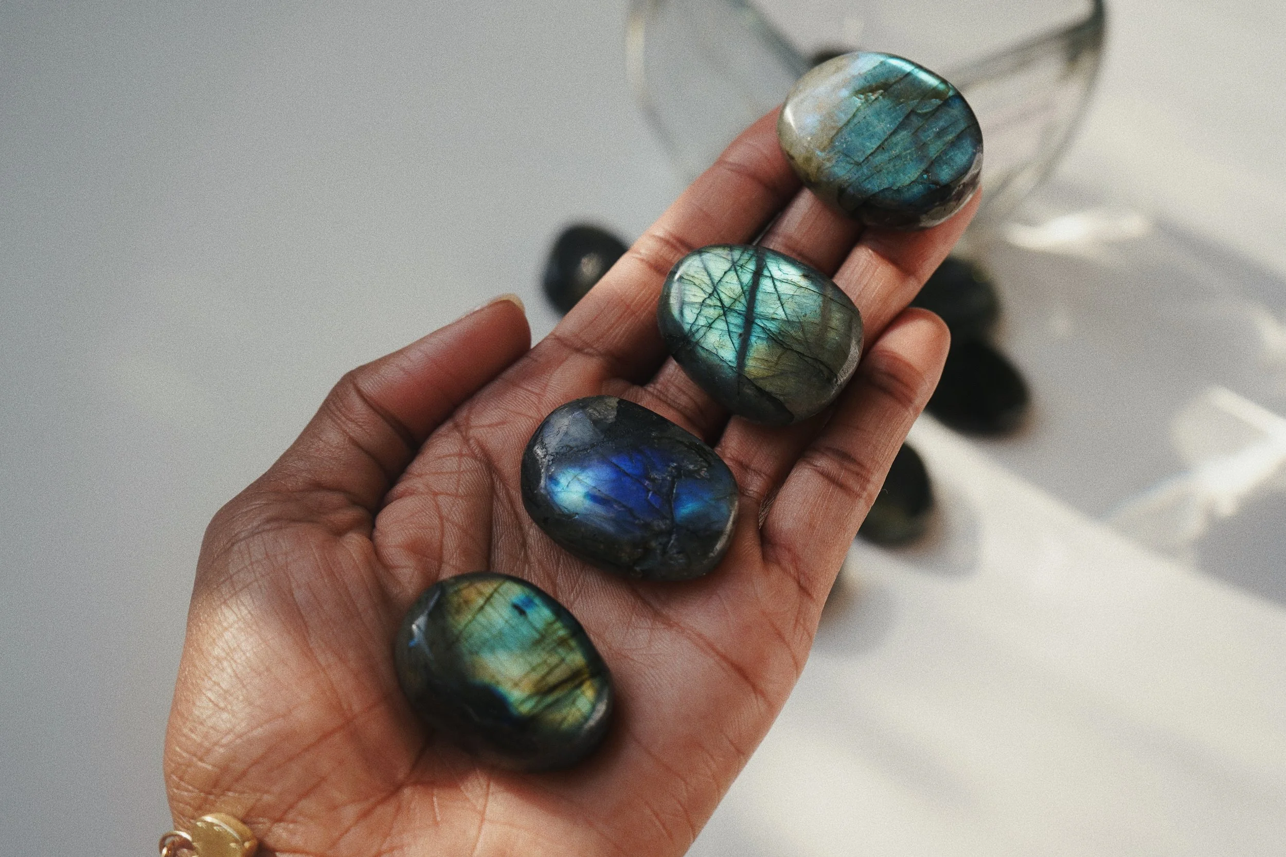 521F2380-7888-4FEF-919F-A00D3D00B61F 2.JPG