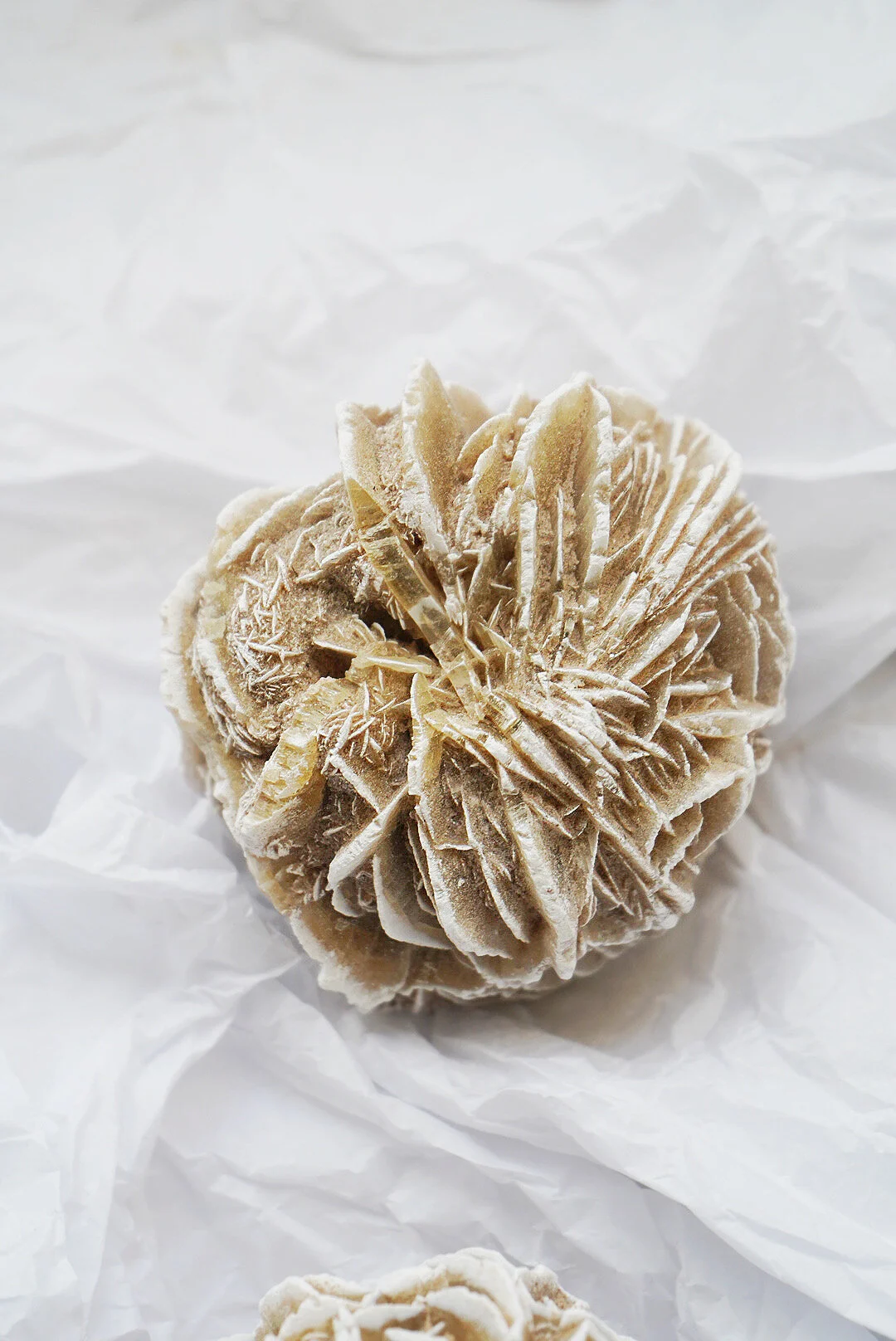 AfterlightImage 154.JPG