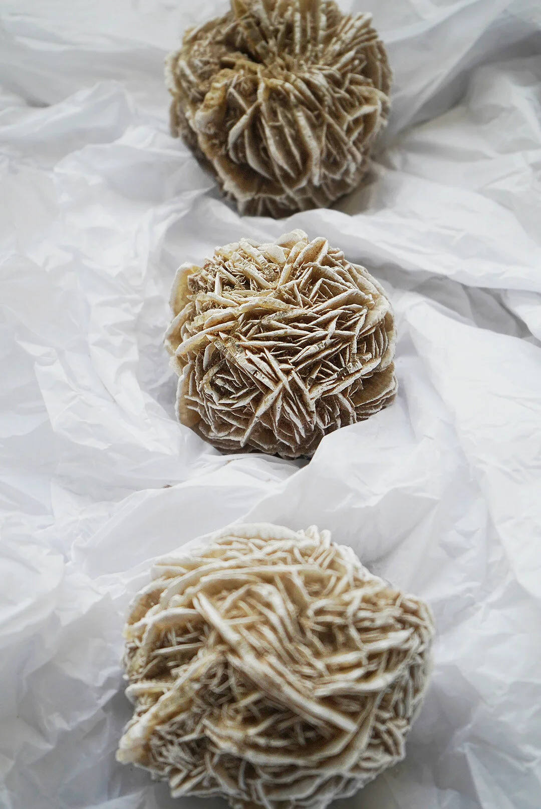 AfterlightImage 155.JPG