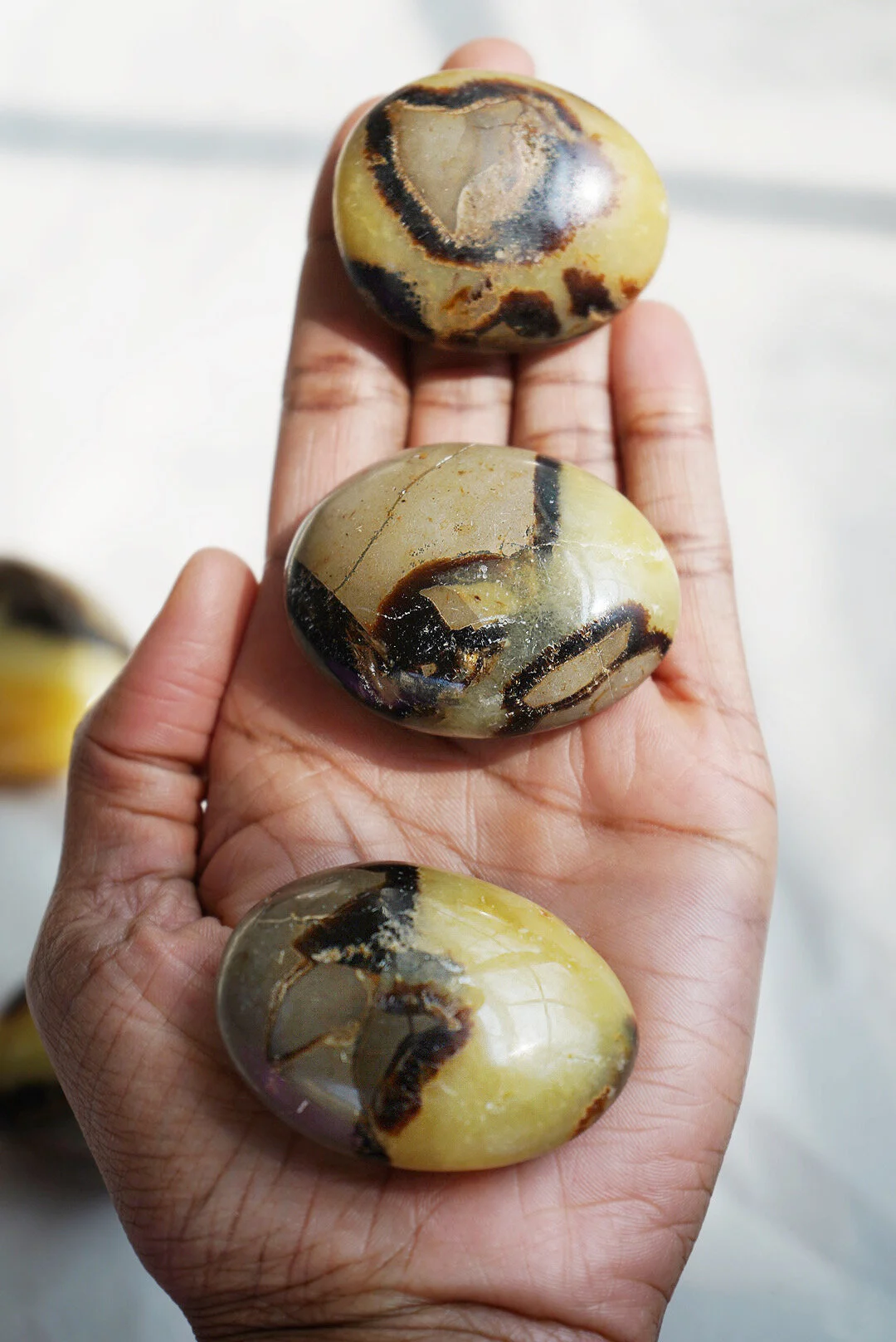 AfterlightImage 157.JPG