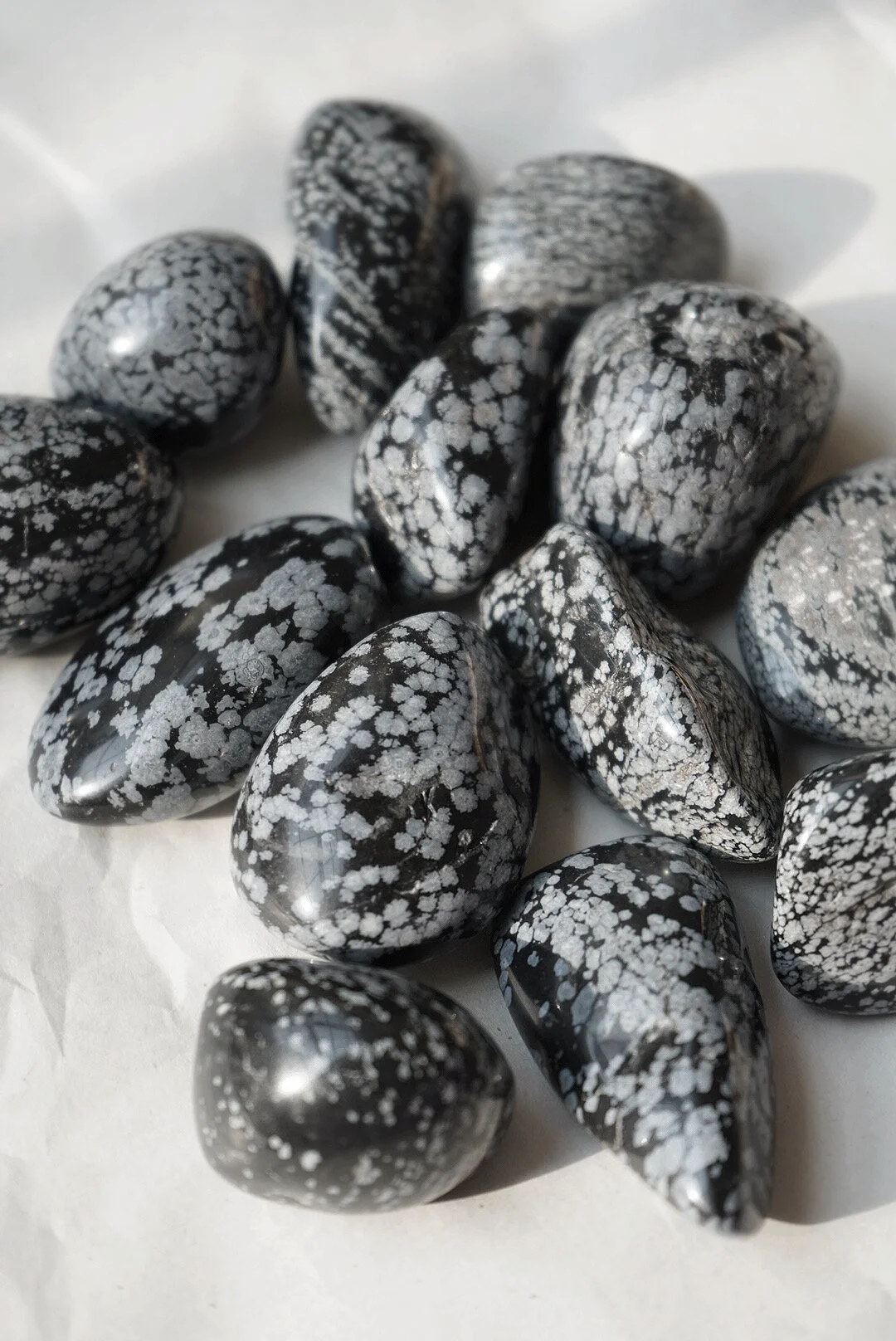 AfterlightImage 178.JPG