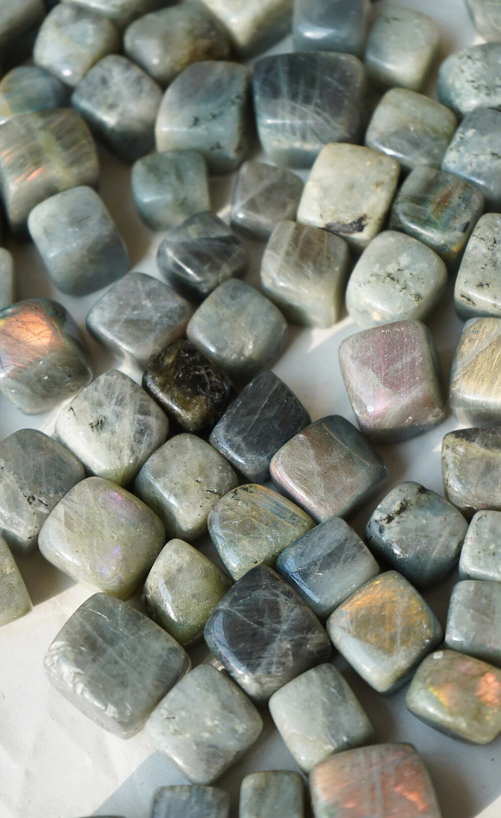 AfterlightImage 179.JPG